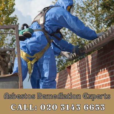 Asbestos Remediation Experts Molesey