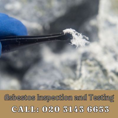 Comprehensive Asbestos Inspection and Testing Services in Molesey